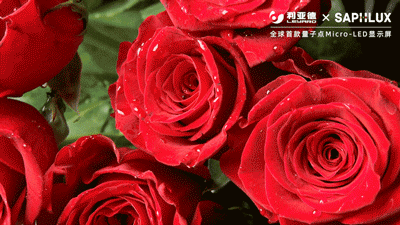 mg冰球突破·奢华版(试玩)官方网站