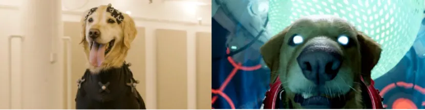 mg冰球突破·奢华版(试玩)官方网站