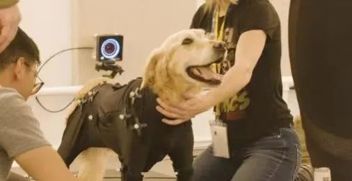 mg冰球突破·奢华版(试玩)官方网站