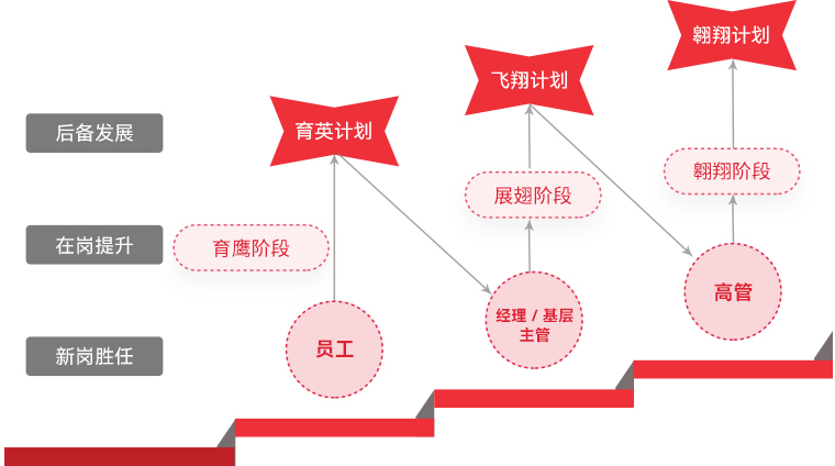 mg冰球突破 "雄鹰打算"人才梯队造就
