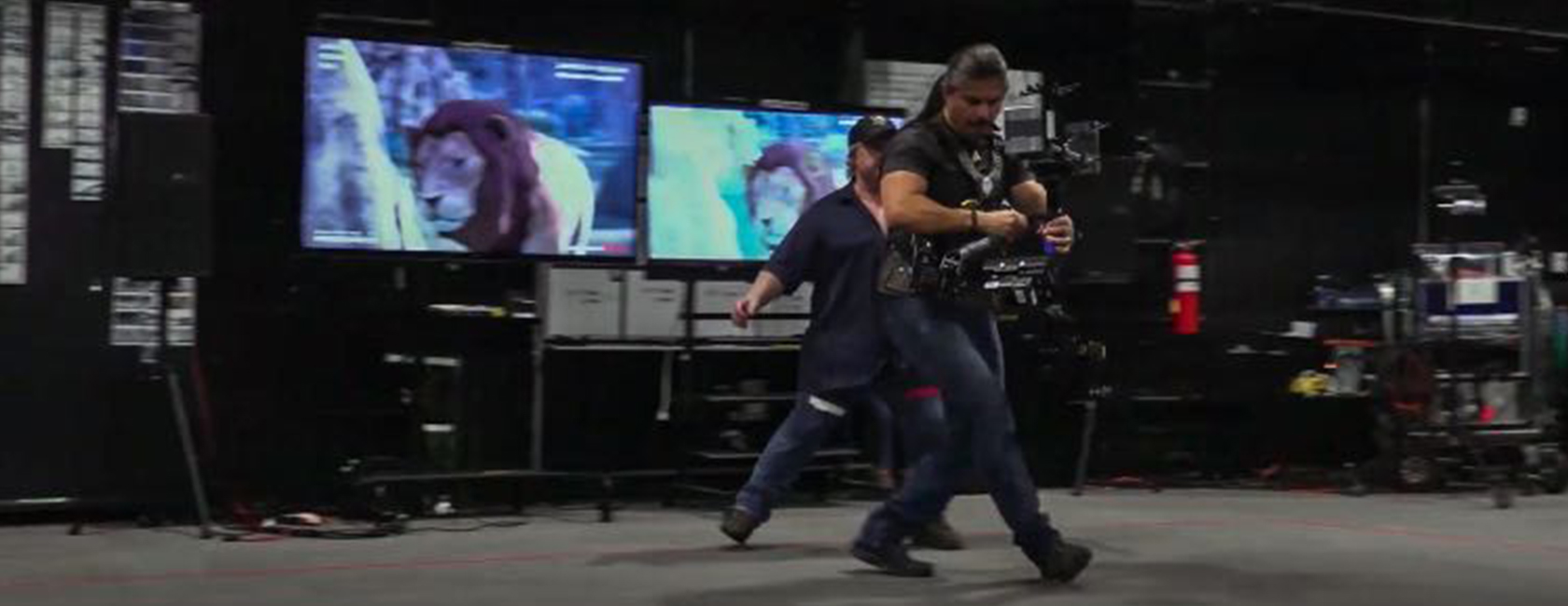 《狮子王》虚构预演服务  